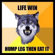 COURAGE WOLF- Life Win, Hump Leg Then Eat It