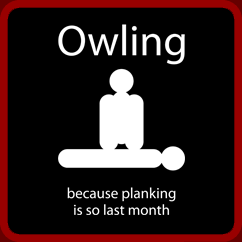 Owling :: Because Planking Is So Last Month