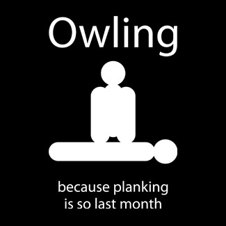 Owling : because plainking is so last month